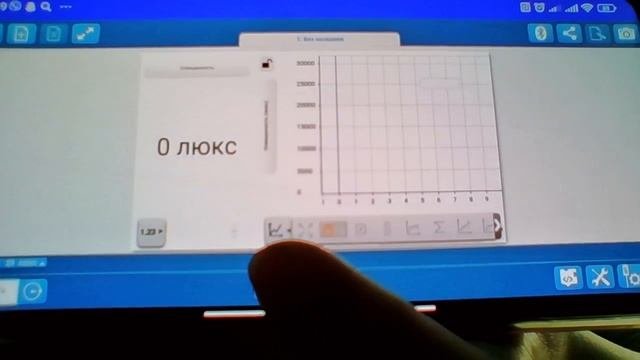 Комнатные растения.