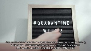 Как подготовить котенка к прививке?