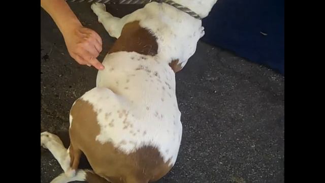 Мое измененное видео смотреть онлайн