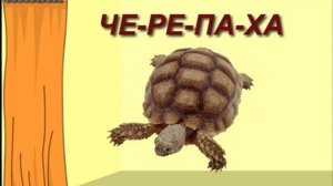 Развитие у детей слоговой структуры слова: 4 открытых слога