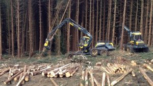 Ponsse Scorpion in Scotland