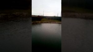 Деревня Звягино