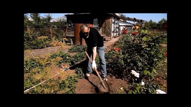 Наша дача смотреть онлайн