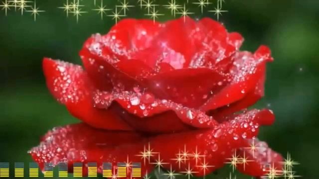 Игорь Янакий  -  Розы для Тебя
