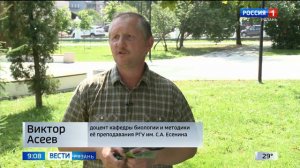 Минирующая моль губит рязанские каштаны