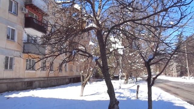 Не обрезайте яблоню зимой... смотреть онлайн