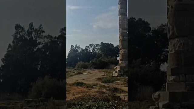 İzmir Selçuk Artemis tapınağı 👍 Izmir Selçuk Temple of Artemis