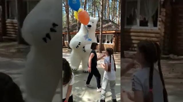 поздравили нашу дочь с ДНЁМ РОЖДЕНИЯ, белый мишка, мишка танцует, белый медведь смотреть онлайн