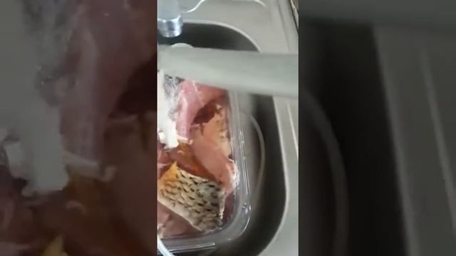 HAPPINESS Азонатор смотреть онлайн