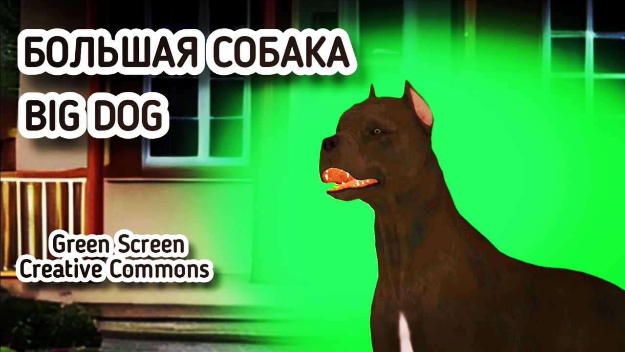 Большая собака Дог green screen футаж. Хромакей анимация собаки на зелёном фоне.