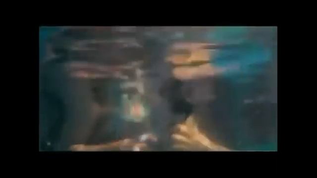 Роды в воде с дельфинами.