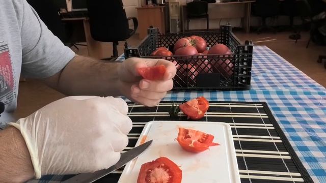 ? Томат F1 Затейник|  Этот томат вятской селекции способен вырастить каждый