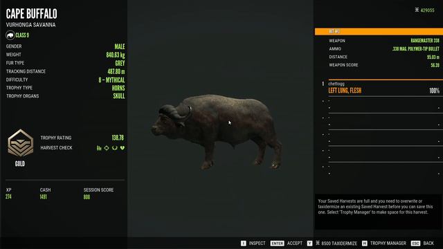 Almost vanilla Call of the Wild - Savanna Hunter Pt. 589 смотреть онлайн