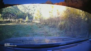 Поездка на Песчанку в Алтайском крае за хариусом