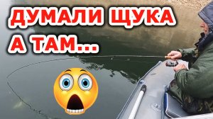 Вот уж не ожидали! Что за рыба попалась на крючок!!??? Рыбалка.mp4