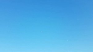 ТУРЕЦКАЯ ТАКЛА - столбовая игра- подъём с земли- Голуби Михаила