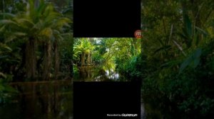 Музыка мадагаскар alaka-muvet-muvet