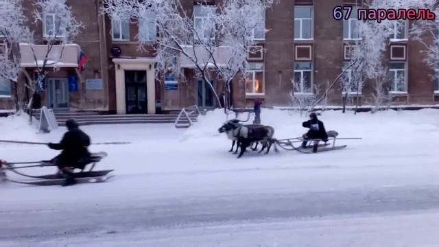 воркута день оленевода.mp4 смотреть онлайн