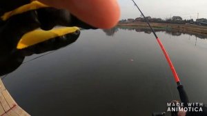 Тихая Заводь Рыбалка перед карантином