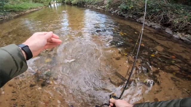 Рыбалка осень 2023 ЛУЧШЕЕ!#fishing #рыбалка2023 #troutfishing
