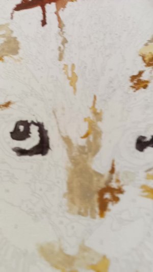 картина по номерам