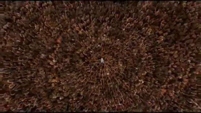 Татьяна Анциферова - Мир без любимого.. автор ролика Светлый смотреть онлайн