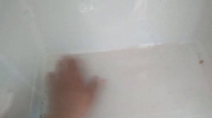 Ремонт холодильника . Лед в морозильной камере.