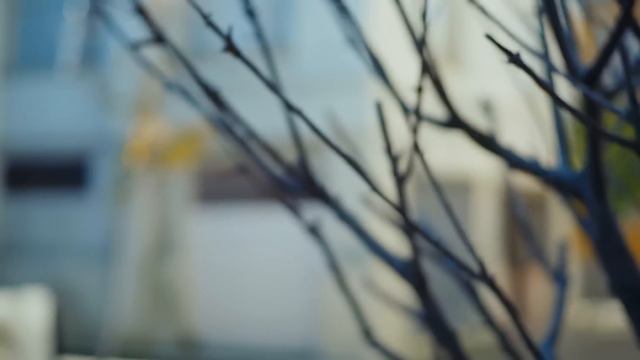 Orhun’un haberini alan Nurşah, fenalık geçirdi 😰 | Esaret 278.Bölüm смотреть онлайн