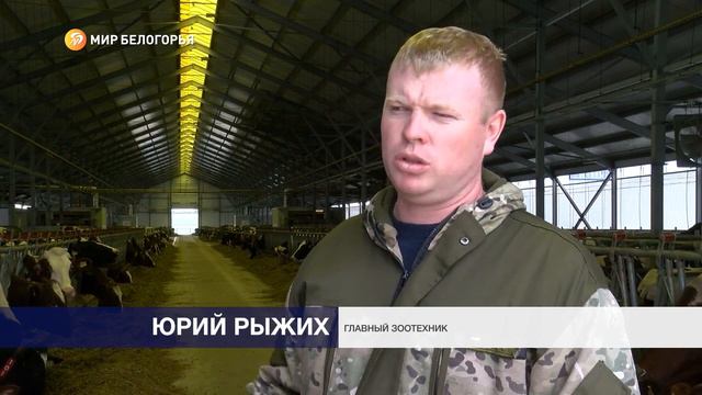 Как работает роботизированная ферма в селе Алексеевского горокруга
