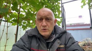 Виноград Ладанный-2 в северном Подмосковье или в поисках муската