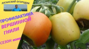 Профилактическая подкормка от вершинной гнили томатов и перцев.