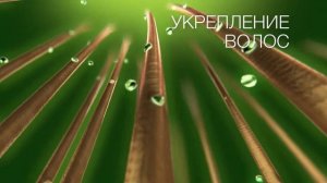 Чистая Линия 2017