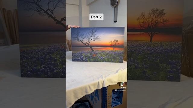 Printing the Bluebell Field by the Lake Canvas Wall Print on our Mimaki Large Format Printer Part 2