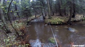 рыбалка на лесной речке Черная/ fishing on the Forest River Black