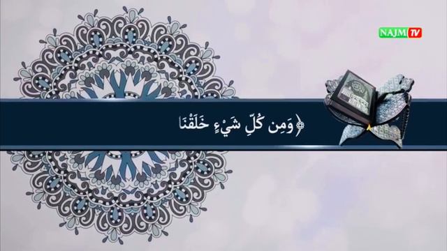 МАРДУ ЗАН Муж и Жена смотреть онлайн