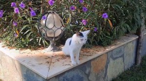 Relax in Bodrum Ortakent (underwater) & Müskebi Club Hotel #bodrum #ortakent #turkey