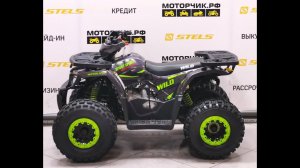 Квадроцикл MotoLand ATV 125 WILD