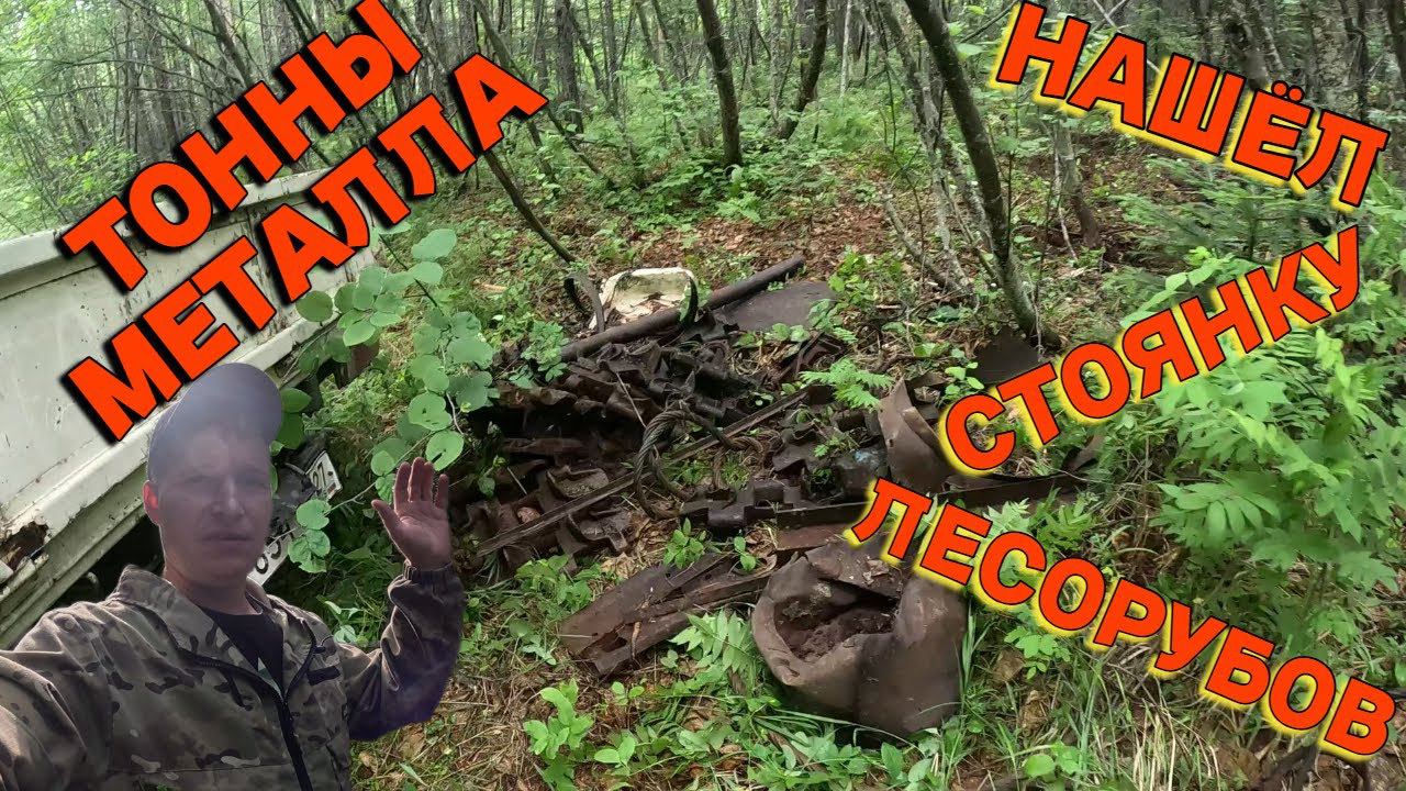 УРААааа!!! Нашёл стоянку лесорубов! Тонны металла. Металокоп. XP ORX