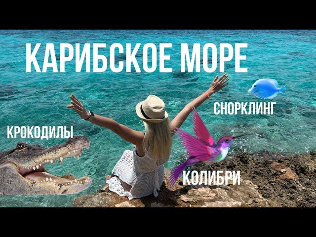 ПОЕЗДКА НА КАРИБСКОЕ МОРЕ || КУБИНСКАЯ ШКОЛА || СНОРКЛИНГ || КРОКОДИЛОВАЯ ФЕРМА || ДОМ КАЛИБРИ
