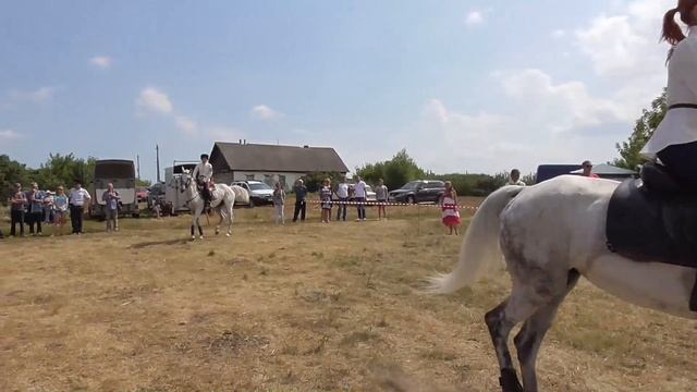 КСК Донские Кони на фестивале воды в Малых Борках смотреть онлайн
