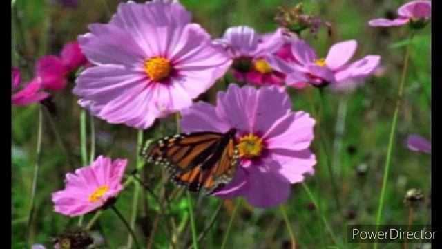 Судьба нам лишних не даёт. смотреть онлайн