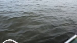 Ловля окуня и щуки на резину.Енисей.18+