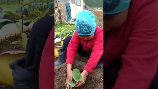 #ДобрыеДела# 1Г класс, г. Горно-Алтайск, Гимназия 9