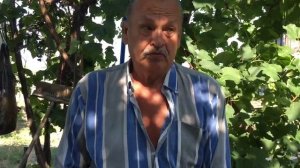 Пятиизбянский