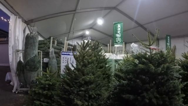 ЖиваяЁлка.рф Открыты продажи елок на Новый Год смотреть онлайн