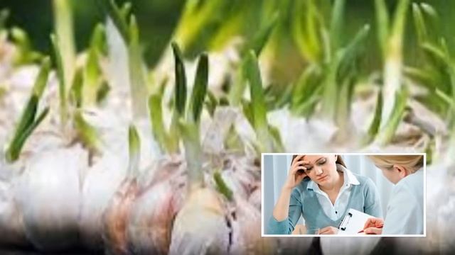 Ниш Урган Саримсоқни Есангиз Кўринг нима бўлишини смотреть онлайн