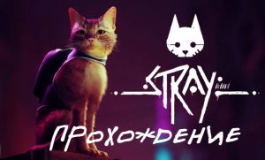 Stray ► Серия 2