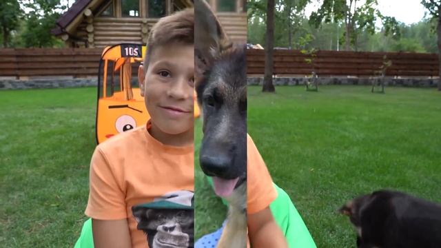 Дети показывают как играть с собакой - Забавная история смотреть онлайн