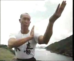 ВИН-ЧУН (wing chun)