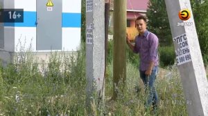 Деревянные столбы электропередачи вместо железобетонных